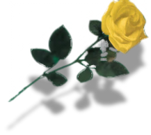 We give a rose to each of our lady diners
